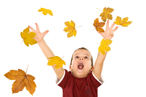 boy throwing leaves